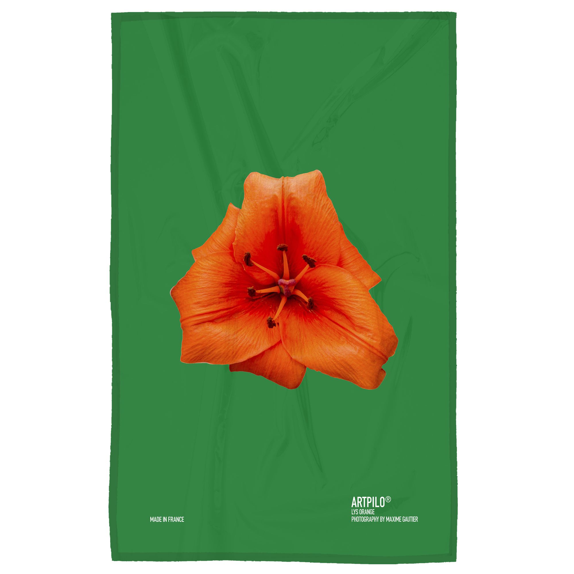 Torchon Coton Vert Pur 47x74 Torchon Coton Vert Pur 47x74