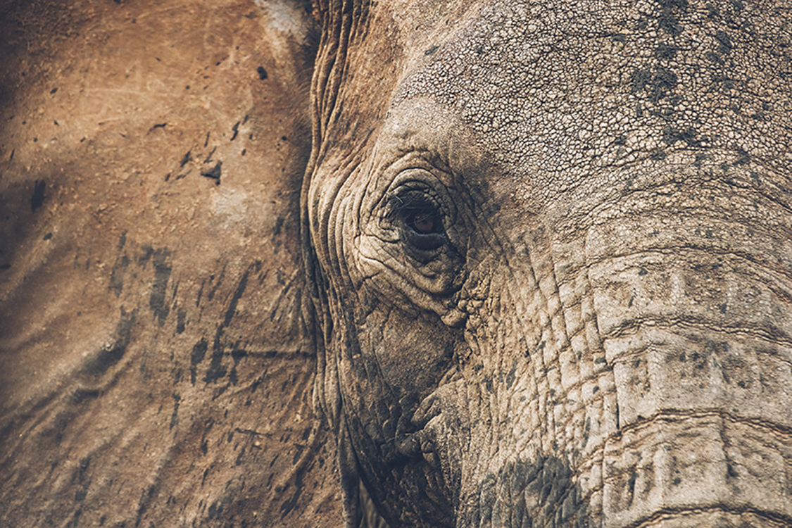 Photographie d'art des BestJobers 30x45 cm sur plexi Photographie d'art des BestJobers 30x45 cm sur plexi
