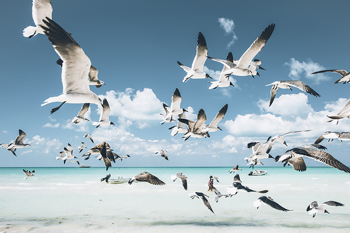 Photographie d'art des BestJobers 40x60 cm sur plexi Photographie d'art des BestJobers 40x60 cm sur plexi