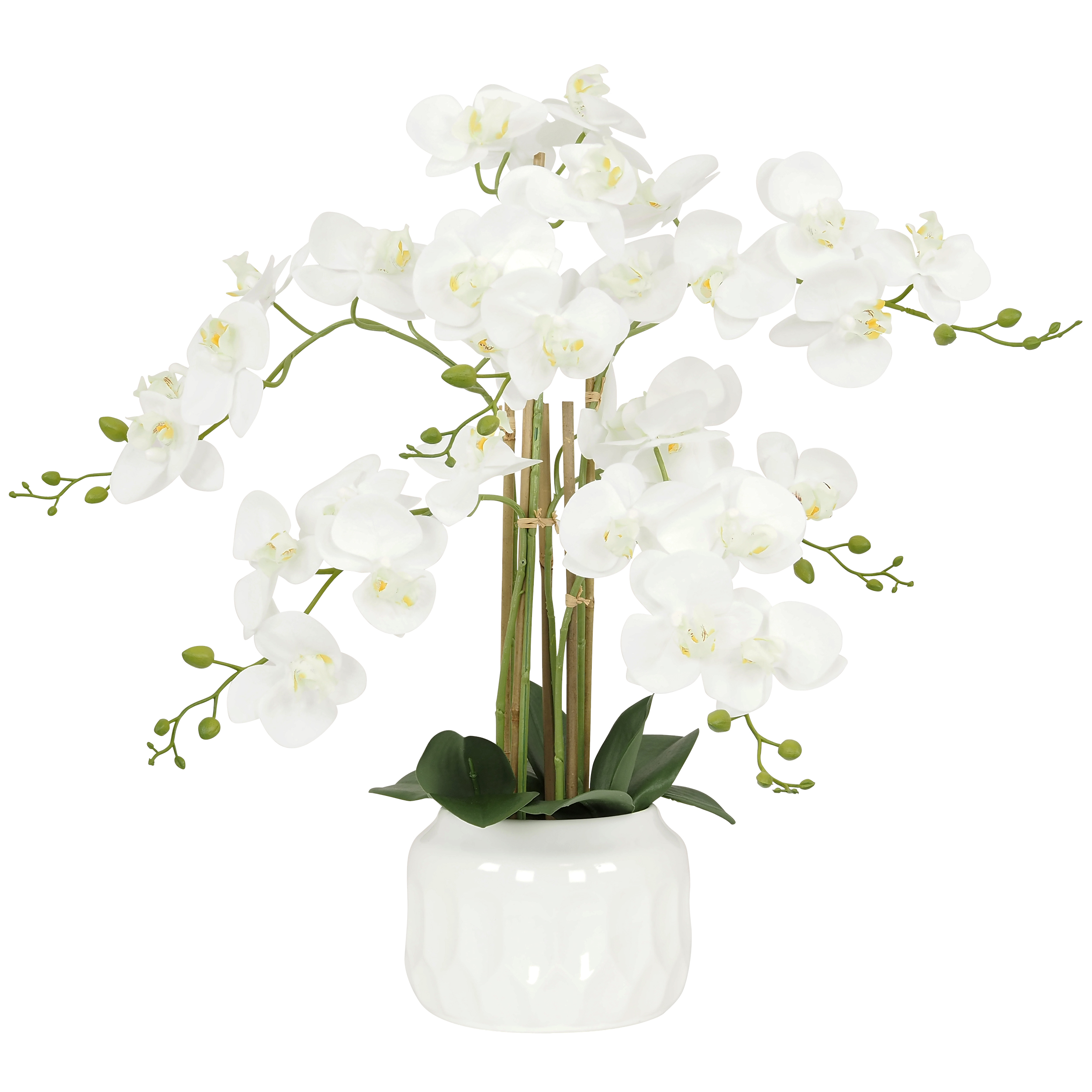 Orchidée Artificielle, Toucher Naturel, H.55cm, Blanc