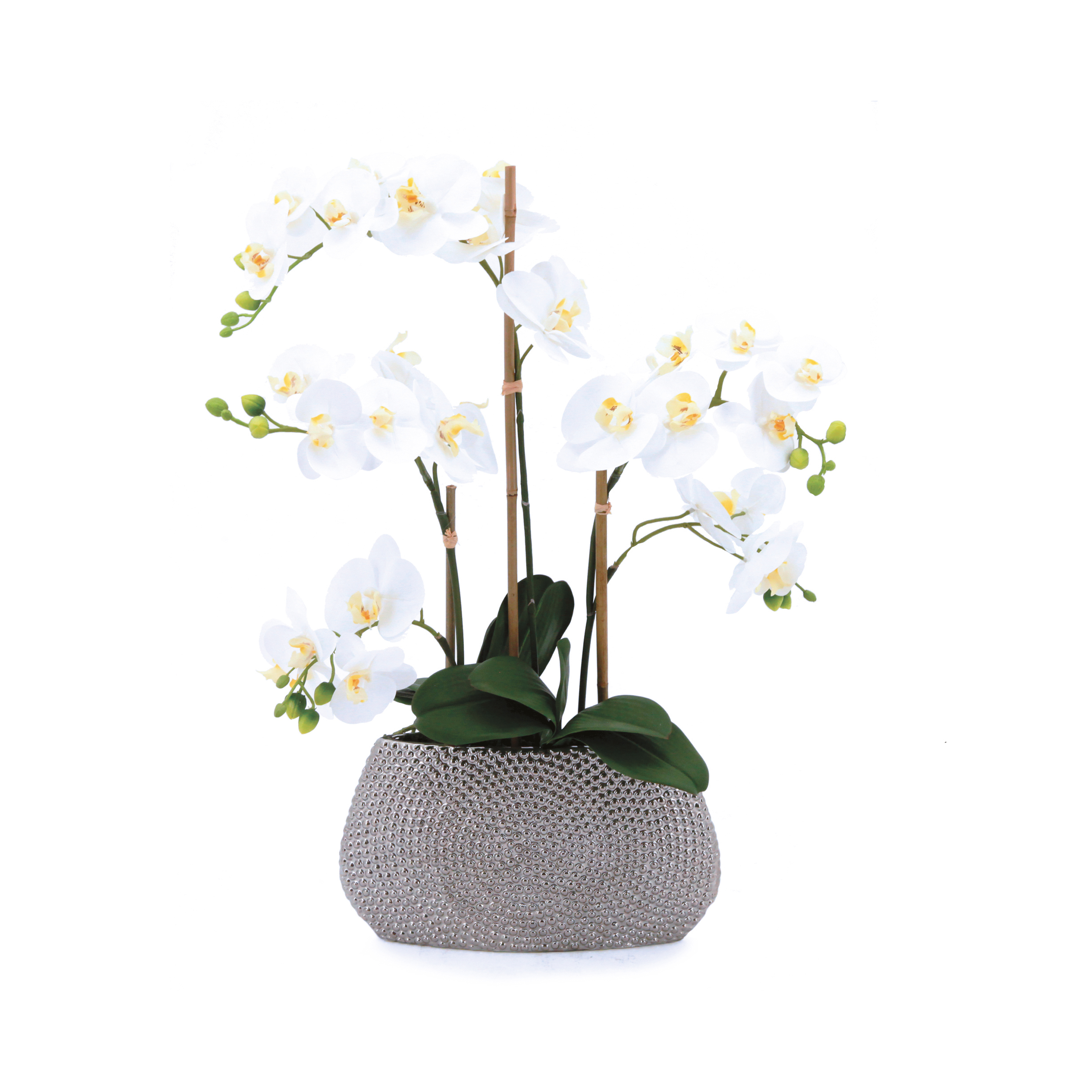 Orchidée blanche artificielle toucher naturel\