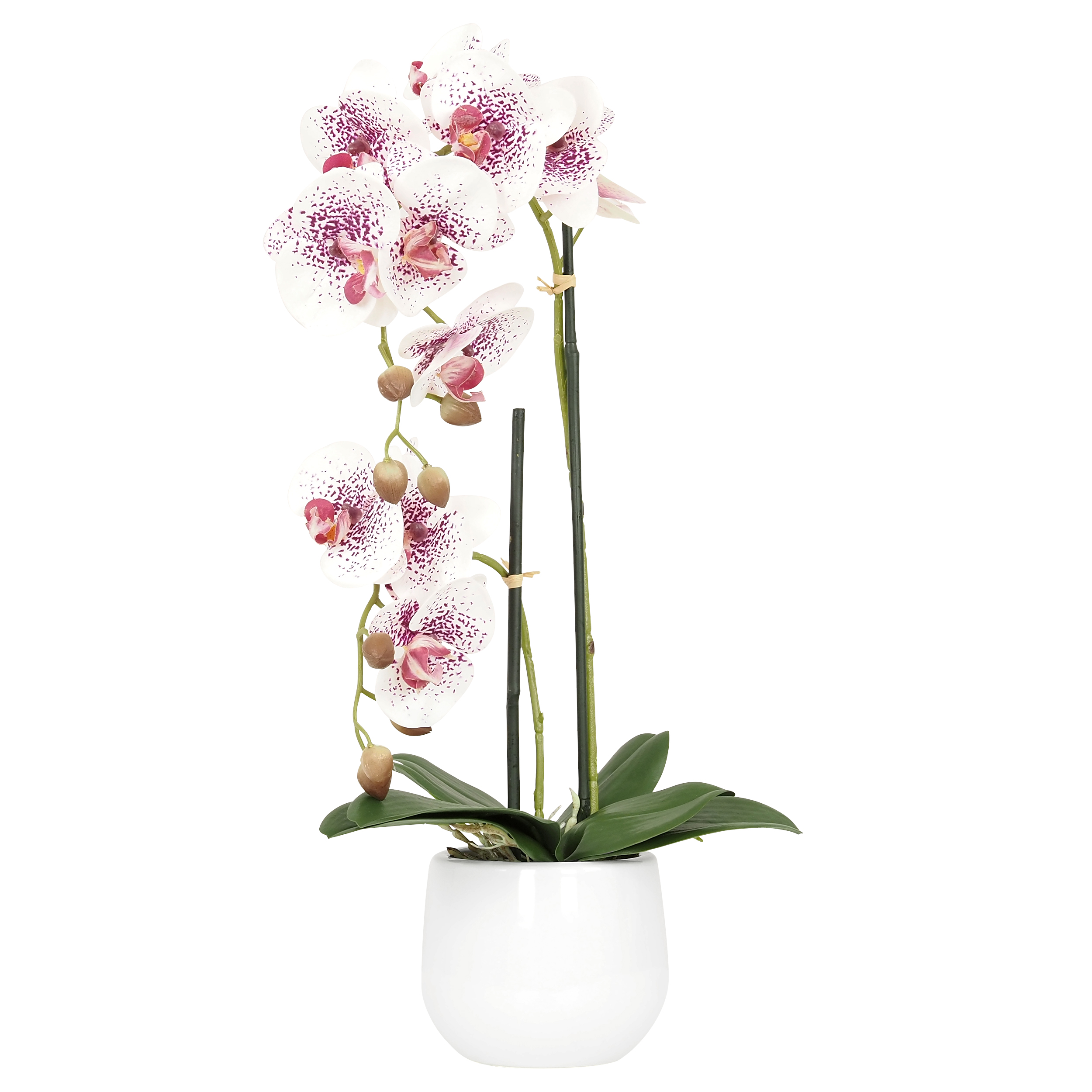 Orchidée Artificielle, Toucher Naturel, H.51cm, Blanc/Fuchsia Orchidée Artificielle, Toucher Naturel, H.51cm, Blanc/Fuchsia