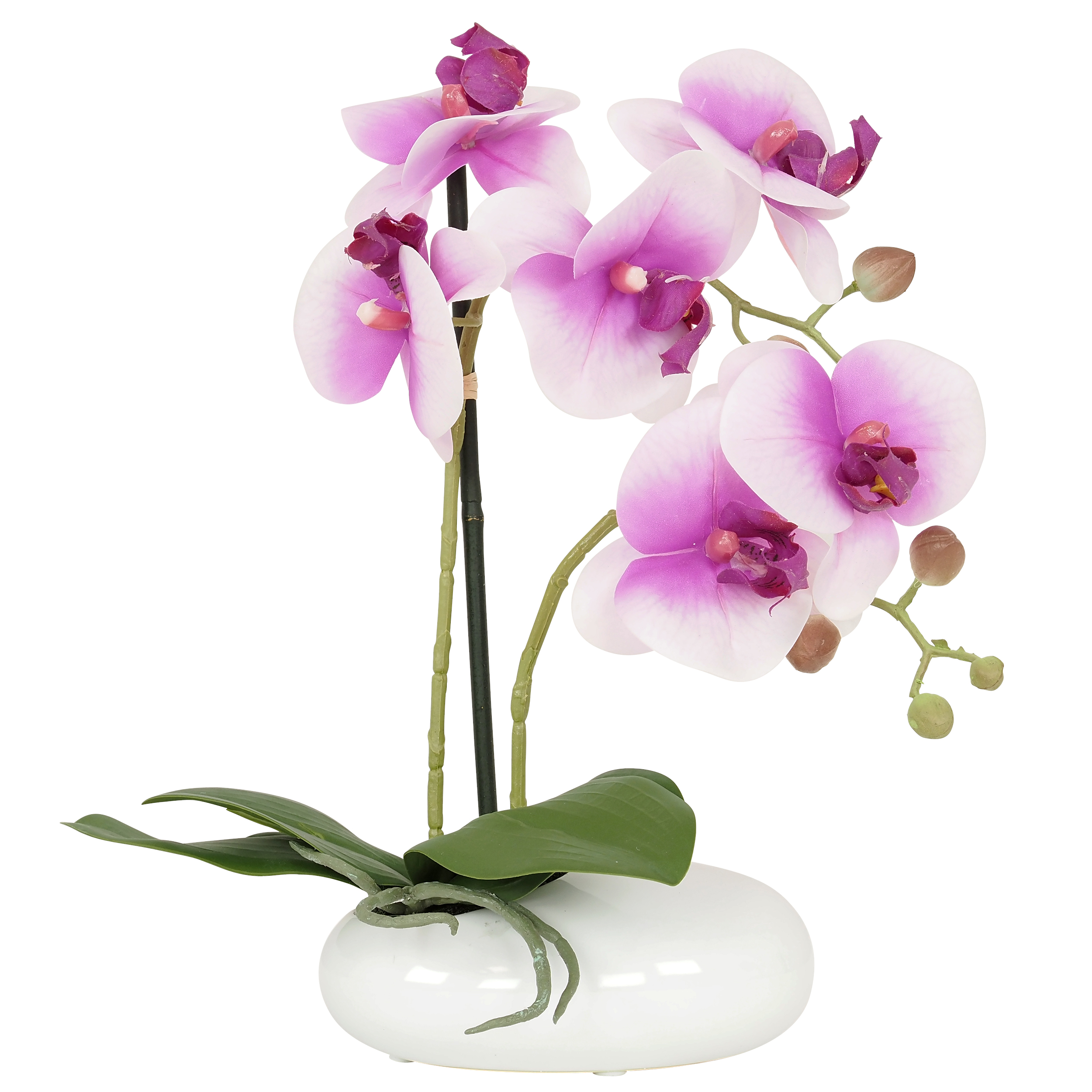 Orchidées artificielles blanc-fuchsia 35cm