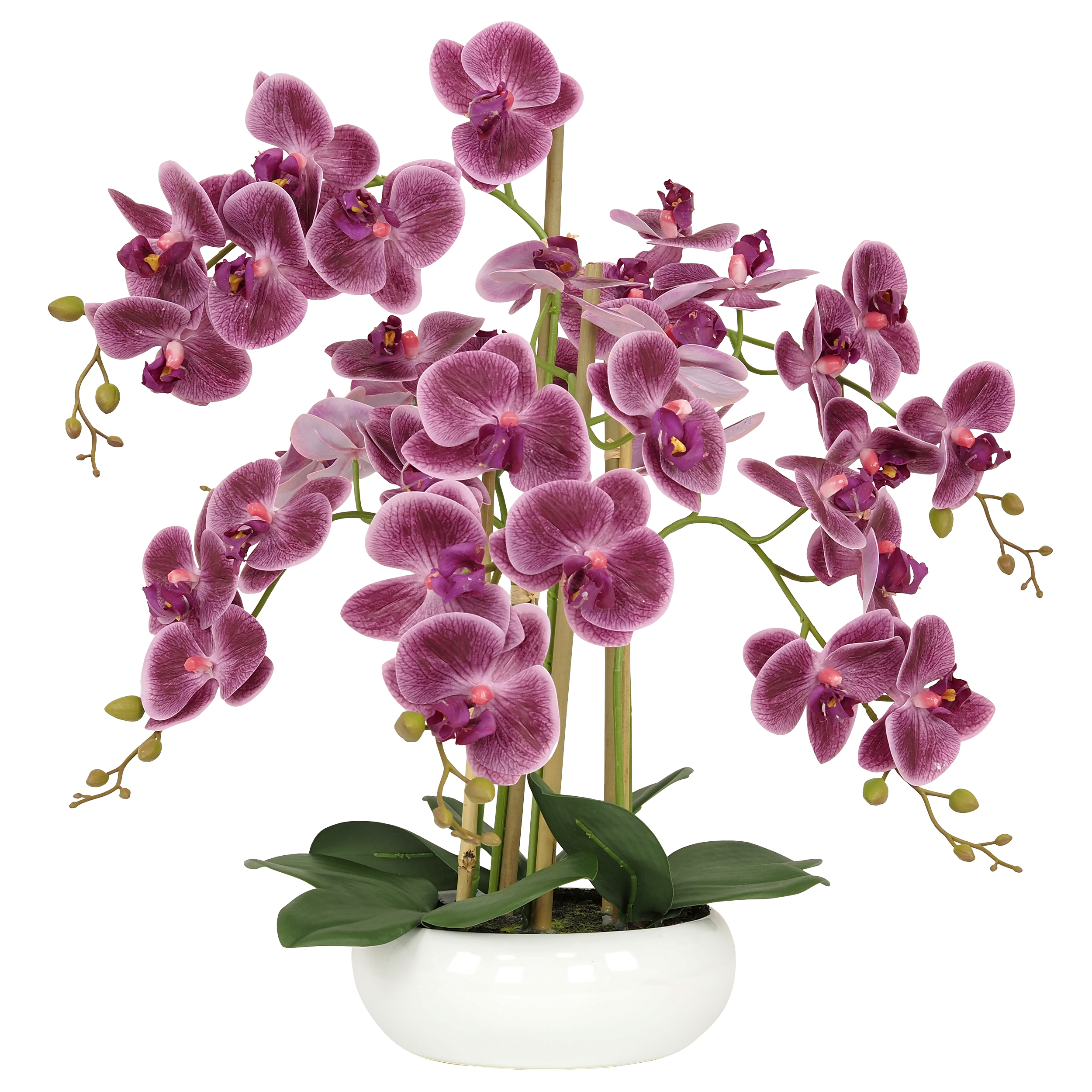 Orchidée artificielle prune 6 branches coupe céramique 55cm
