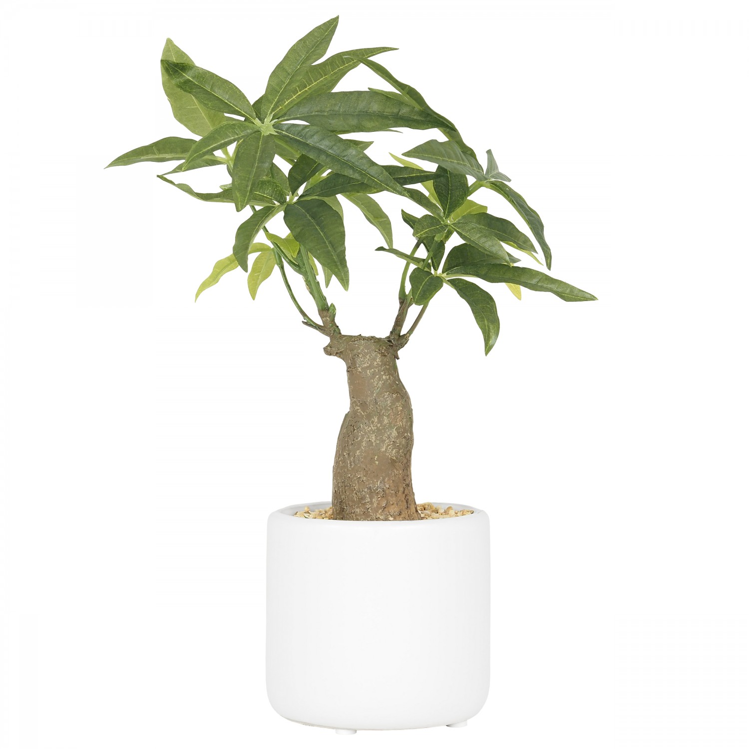 Bonsaï pachira artificiel en pot céramique rond blanc mat 33cm