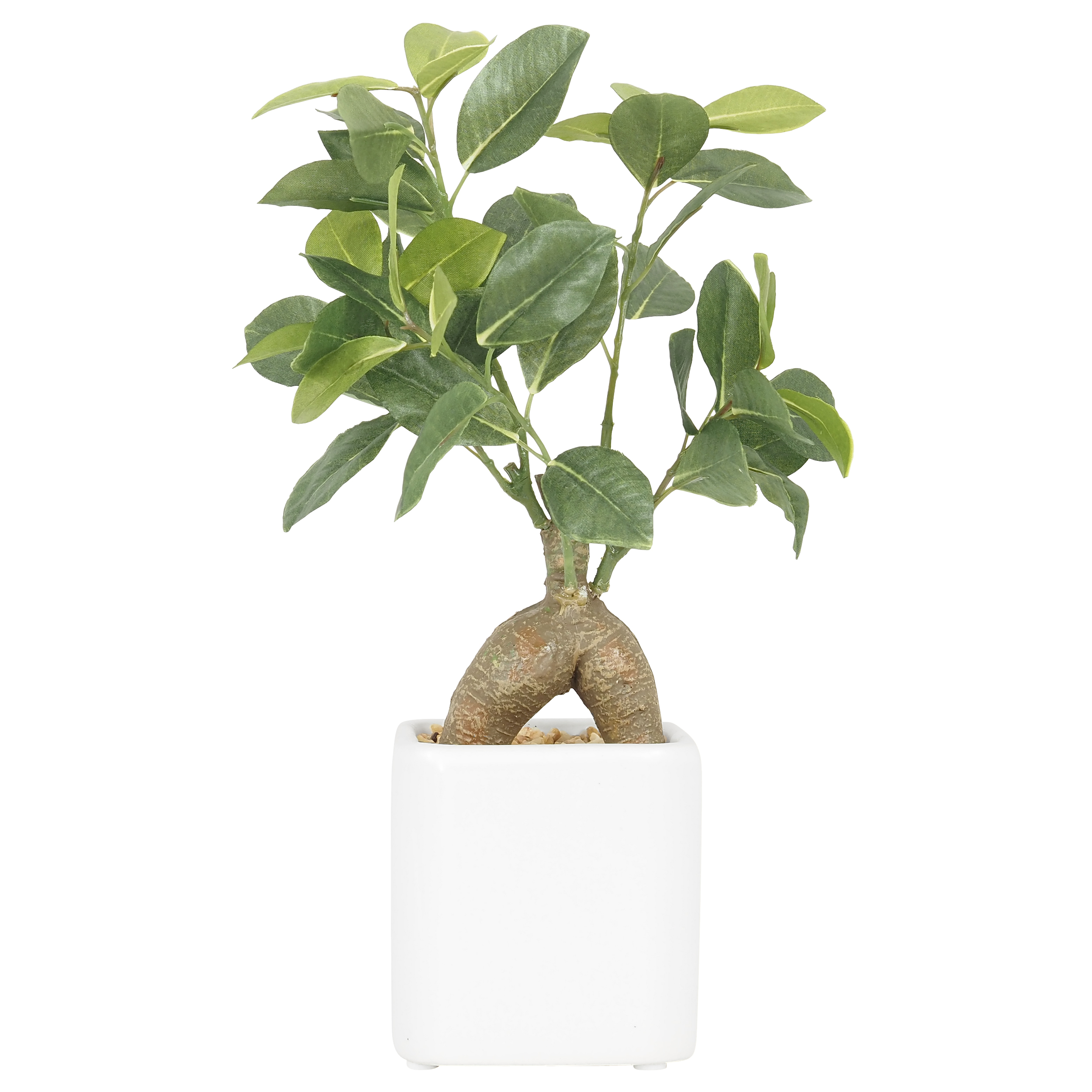 Bonsaï Ficus Ginseng Artificiel, Pot Blanc, H.28cm, Vert