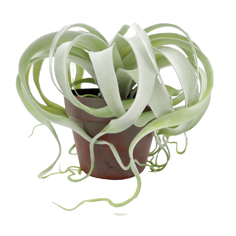 Tillandsia artificiel - pot marron 24cm (photo) Tillandsia artificiel - pot marron 24cm