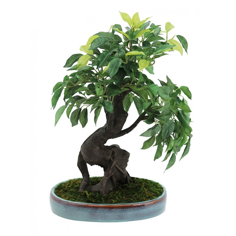 Bonsaï ficus artificiel en pot céramique ovale 249 feuilles 41cm (photo) Bonsaï ficus artificiel en pot céramique ovale 249 feuilles 41cm