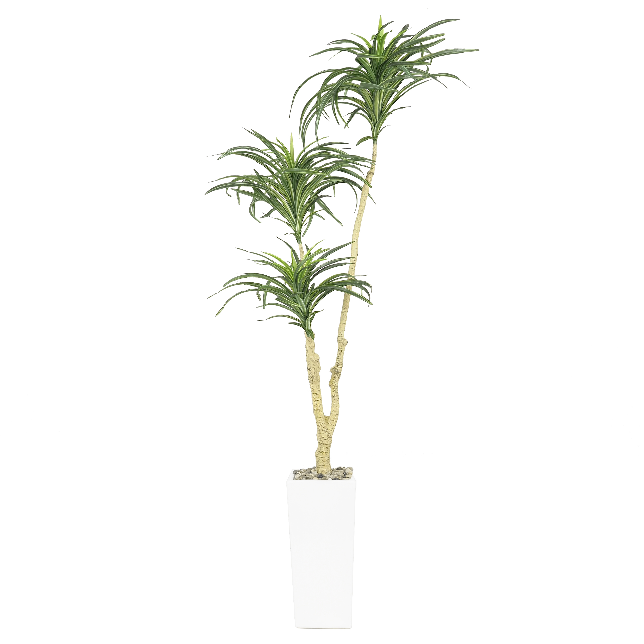 Dracaena artificiel en pot céramique blanc 135 cm (photo) Dracaena artificiel en pot céramique blanc 135 cm