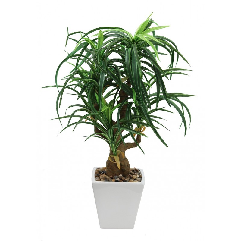 Dracaena artificiel en pot céramique carré blanc 63cm