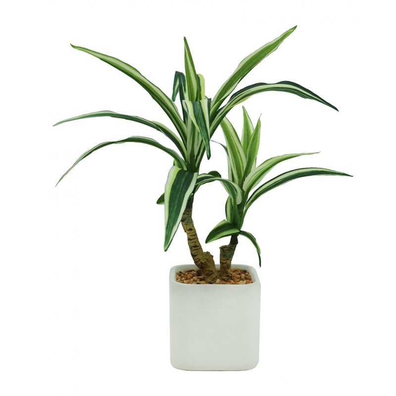 Dracaena Artificiel, Pot Céramique Blanc, H.29cm, Vert Dracaena Artificiel, Pot Céramique Blanc, H.29cm, Vert