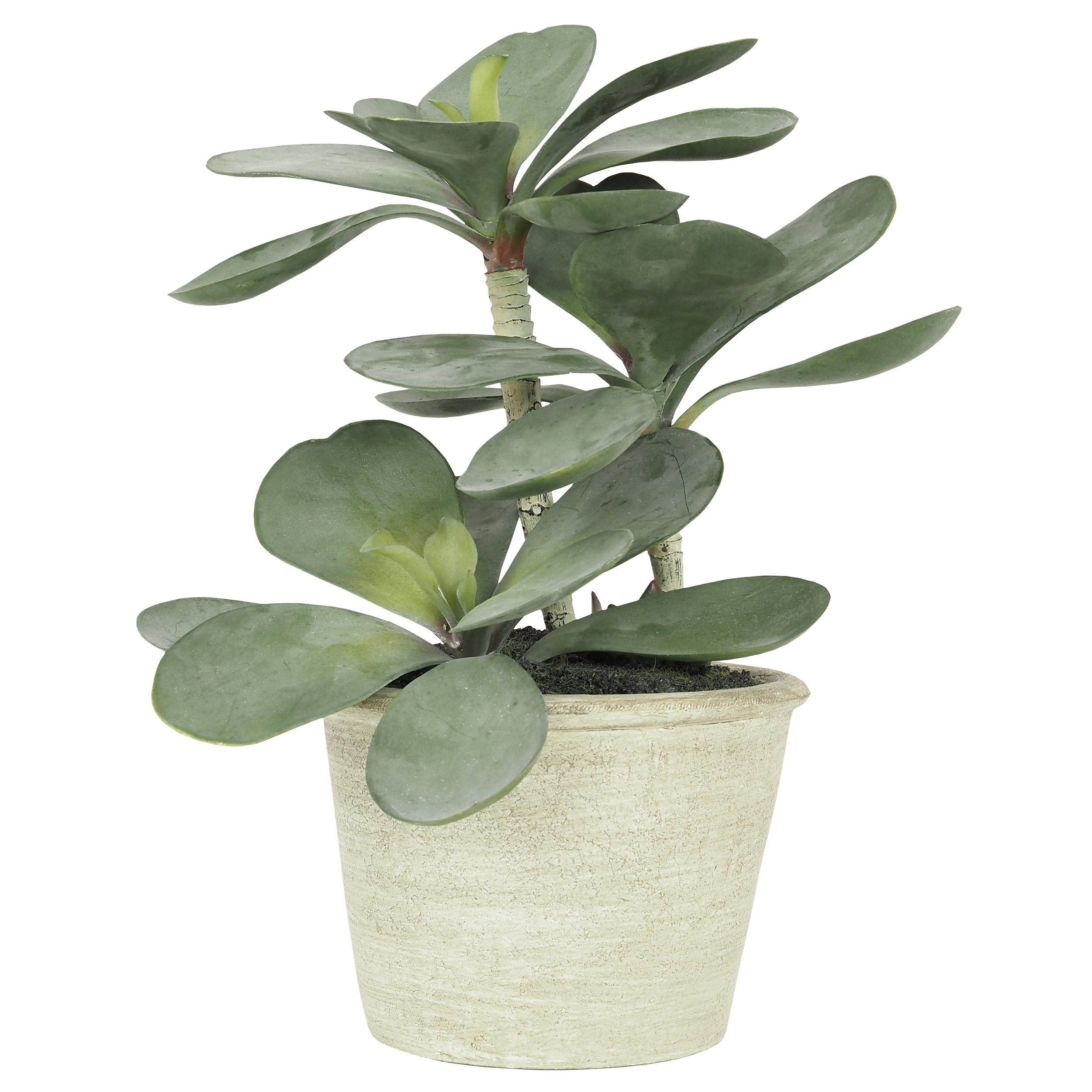 Arbre de jade artificiel 29cm (photo) Arbre de jade artificiel 29cm