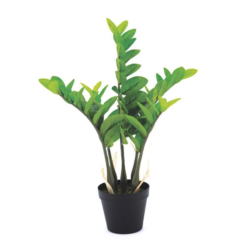 Zamioculcas artificiel 64cm Zamioculcas artificiel 64cm
