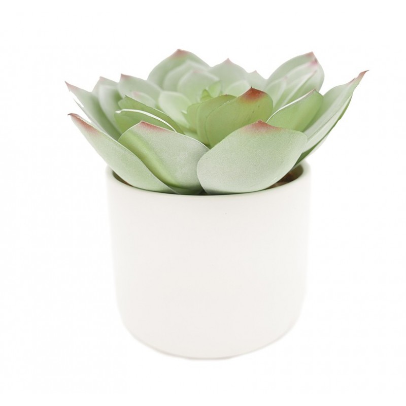 Succulente chou artificielle 17 cm Succulente chou artificielle 17 cm