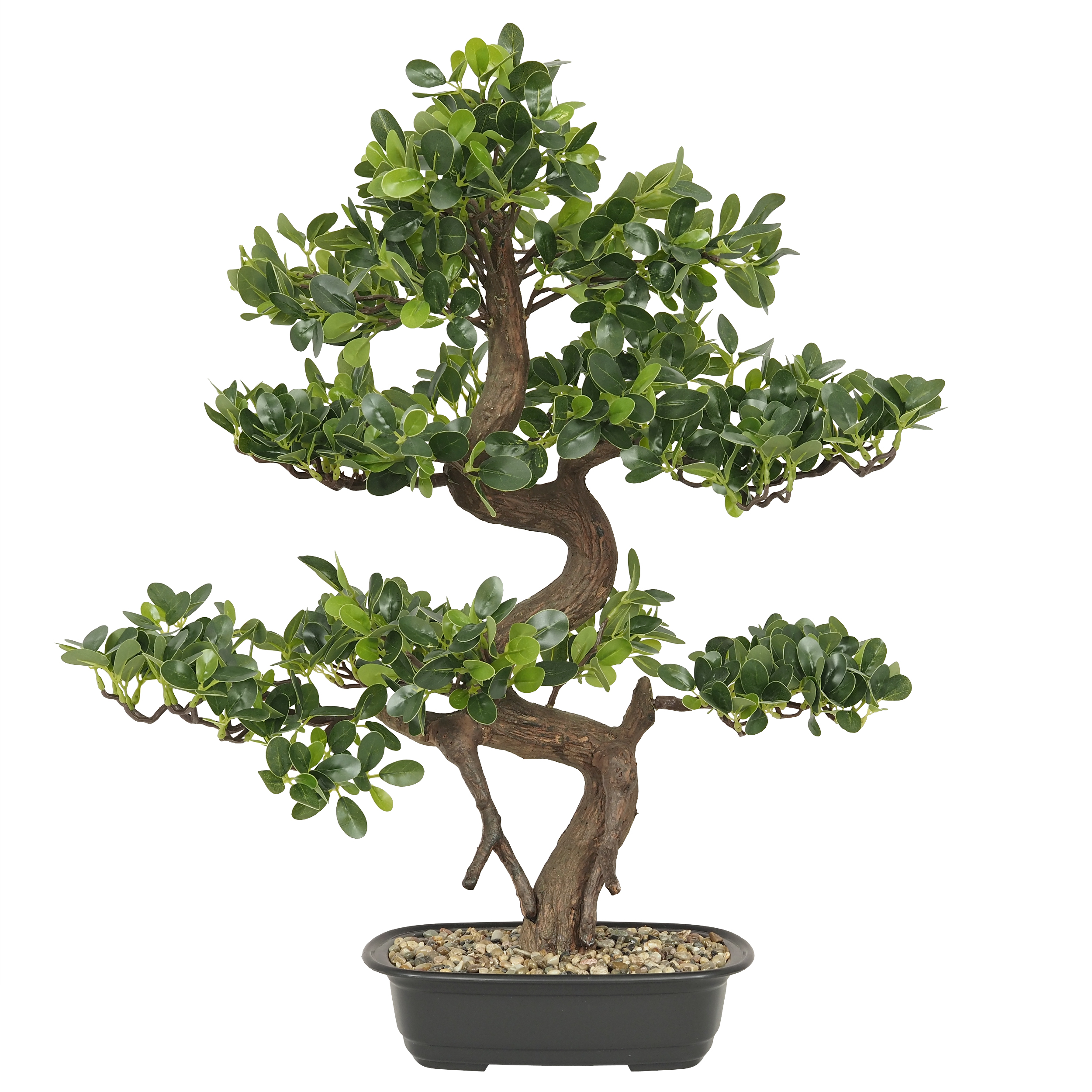 Bonsaï buisson cajeput artificiel 68cm (photo) Bonsaï buisson cajeput artificiel 68cm
