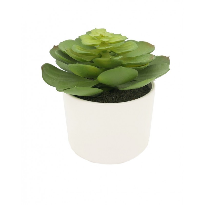 Succulente chou artificielle H15 cm Succulente chou artificielle H15 cm