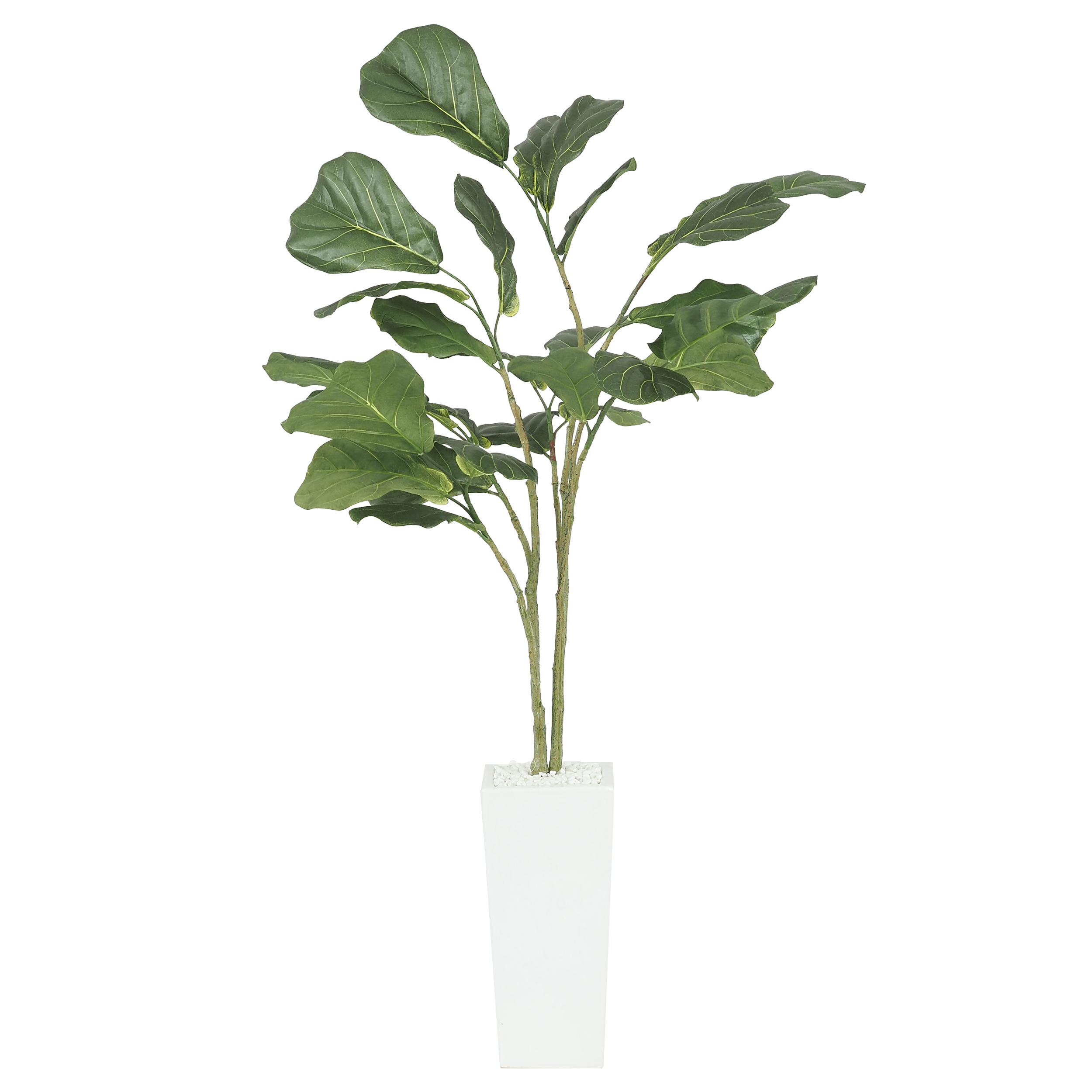Ficus Lyrata Artificiel, Pot Céramique Blanc, H.125cm, Vert