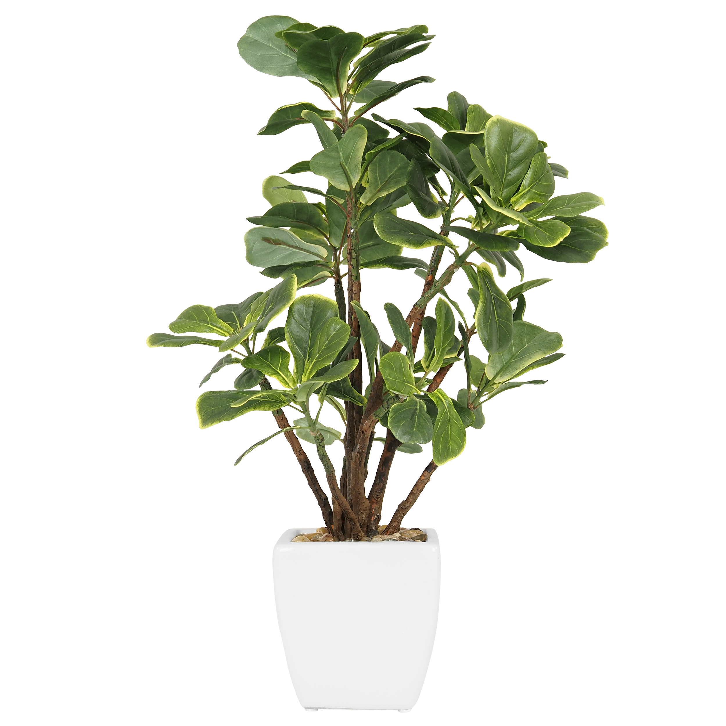 Ficus Lyrata Artificiel, Pot Blanc, 123 Feuilles, H.54cm