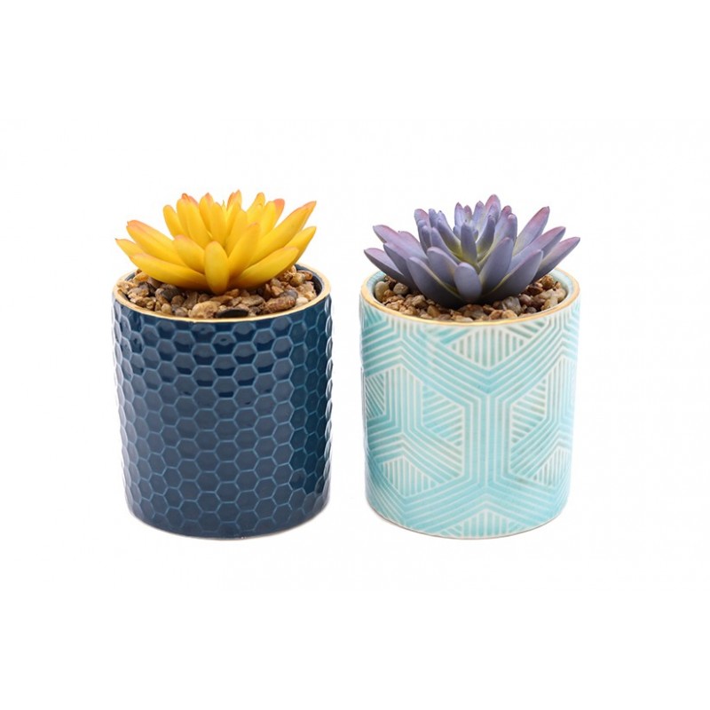 2 Succulentes artificielles 11 cm 2 Succulentes artificielles 11 cm