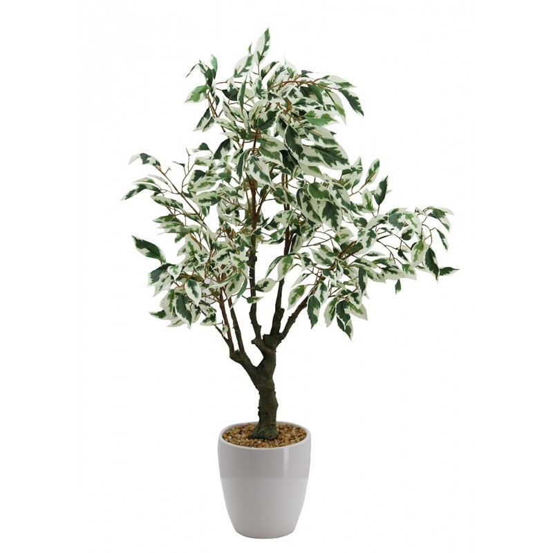 Ficus artificiel panaché en pot céramique blanc 70 cm Ficus artificiel panaché en pot céramique blanc 70 cm