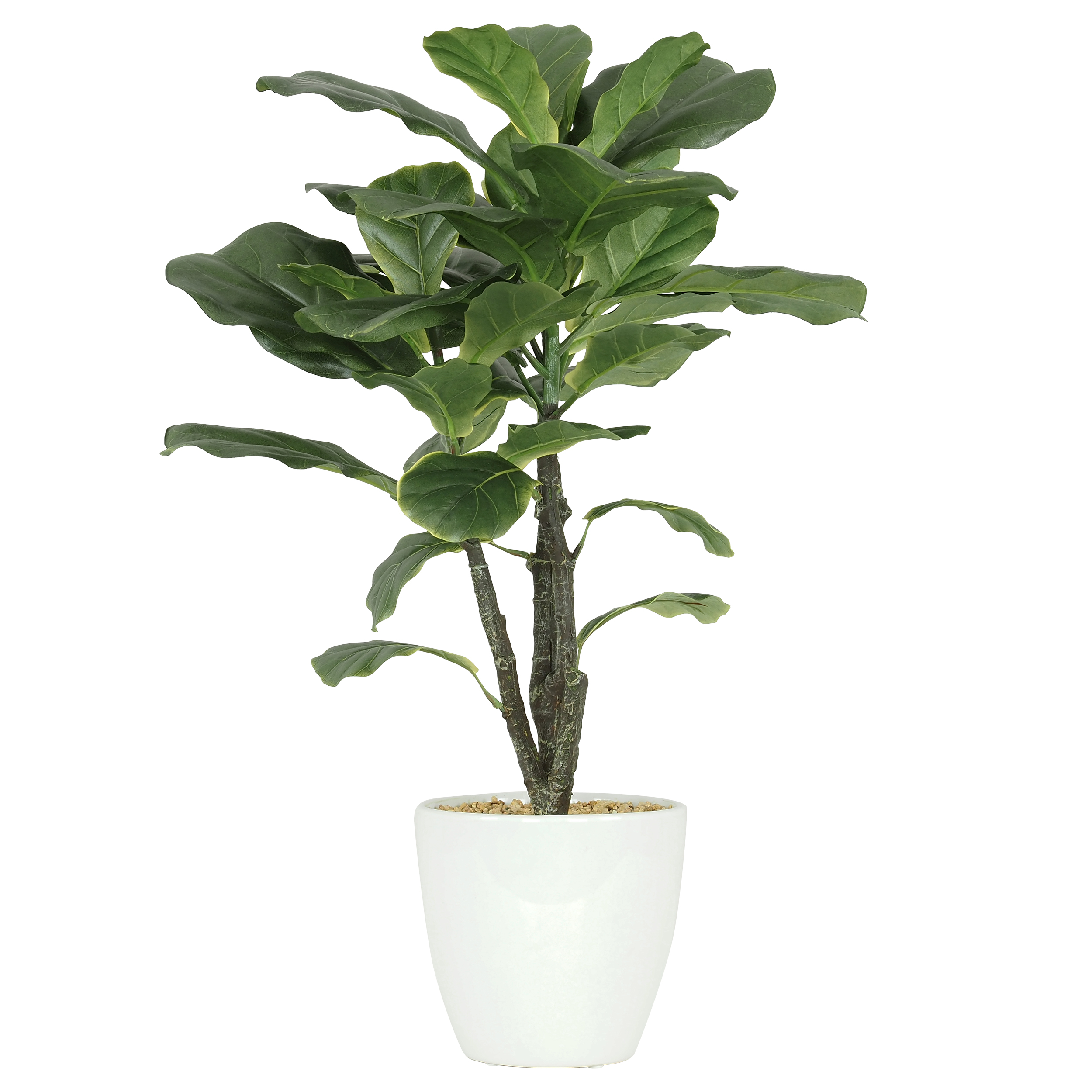 Ficus Lyrata Artificiel, Pot Céramique Blanc, H.63cm