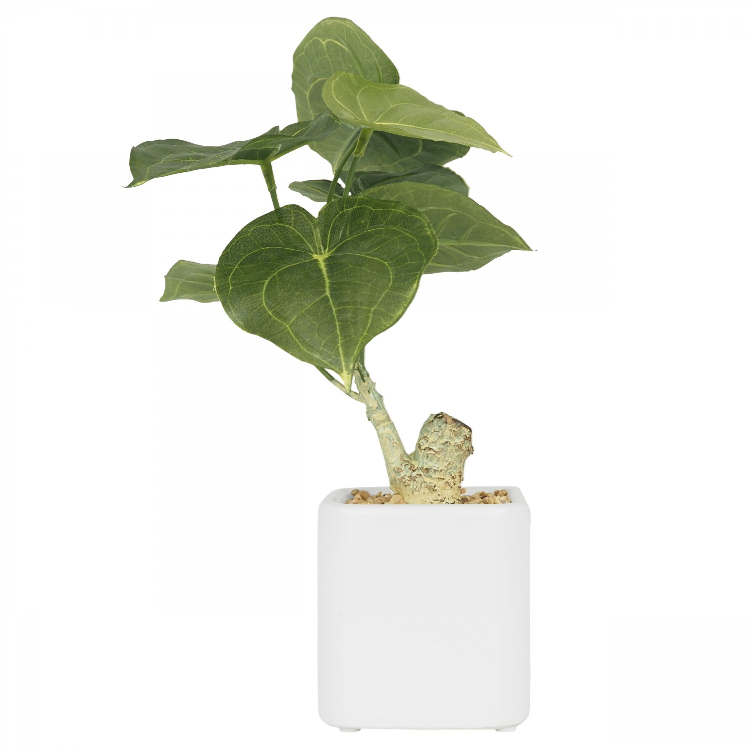 Plante Philodendron Artificielle, Pot Blanc, H.25cm, Vert Plante Philodendron Artificielle, Pot Blanc, H.25cm, Vert