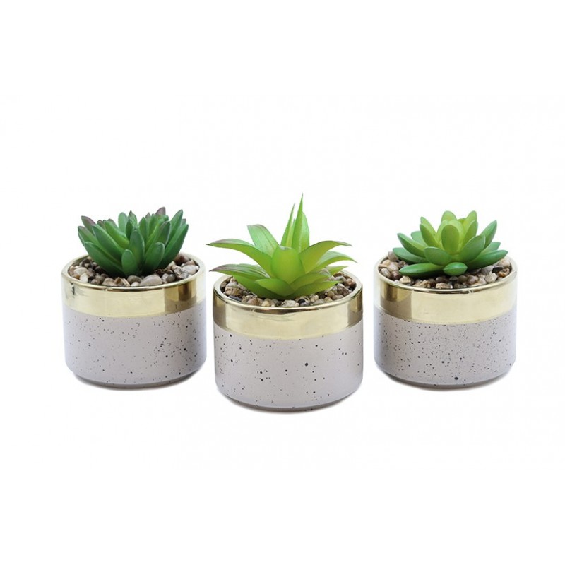 Lot de 3 Succulentes Artificielles, Pot Terrazzo, H.10cm Lot de 3 Succulentes Artificielles, Pot Terrazzo, H.10cm