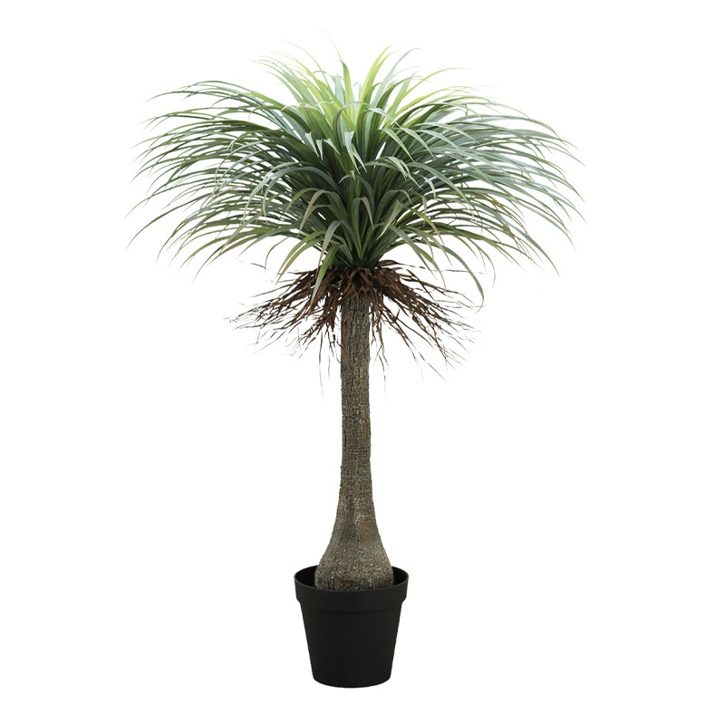 Yucca feuillage artificiel effet naturel en pot noir 150cm (photo) Yucca feuillage artificiel effet naturel en pot noir 150cm