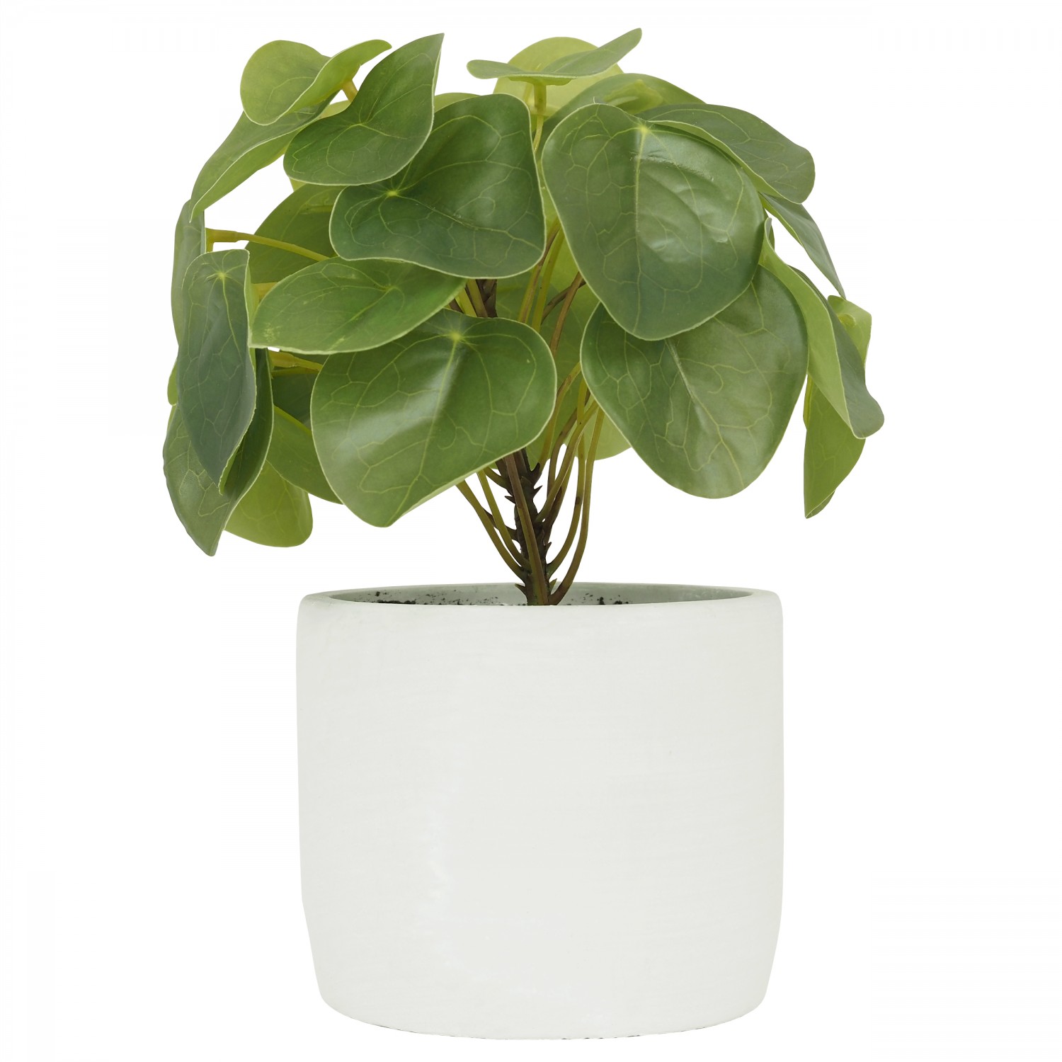 Pilea artificiel pot effet ciment 23cm