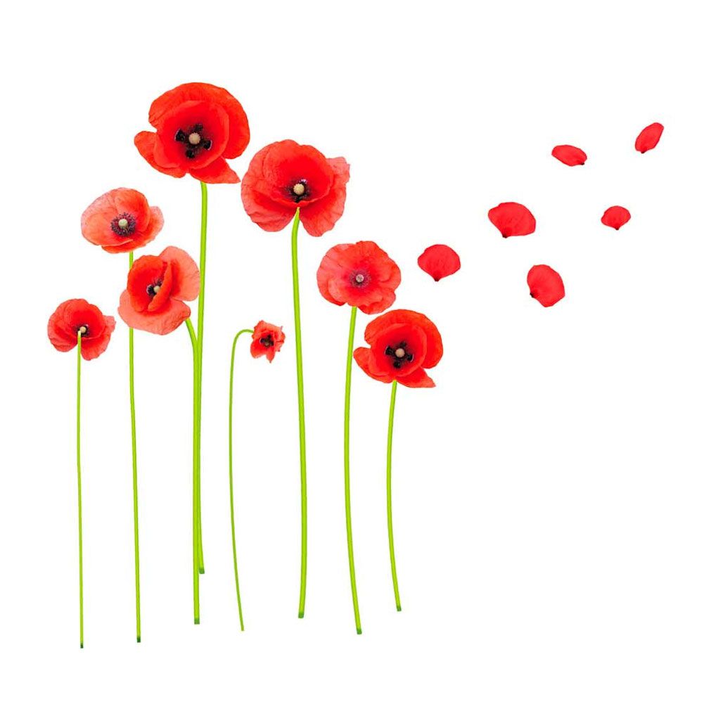 Autocollant mural coquelicots 20x70cm (photo) Autocollant mural coquelicots 20x70cm