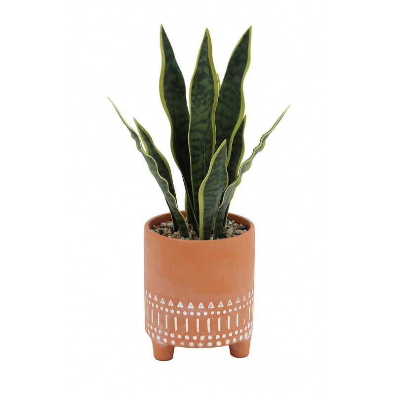 Sanseveria en pot mexicain terracotta 40cm (photo) Sanseveria en pot mexicain terracotta 40cm