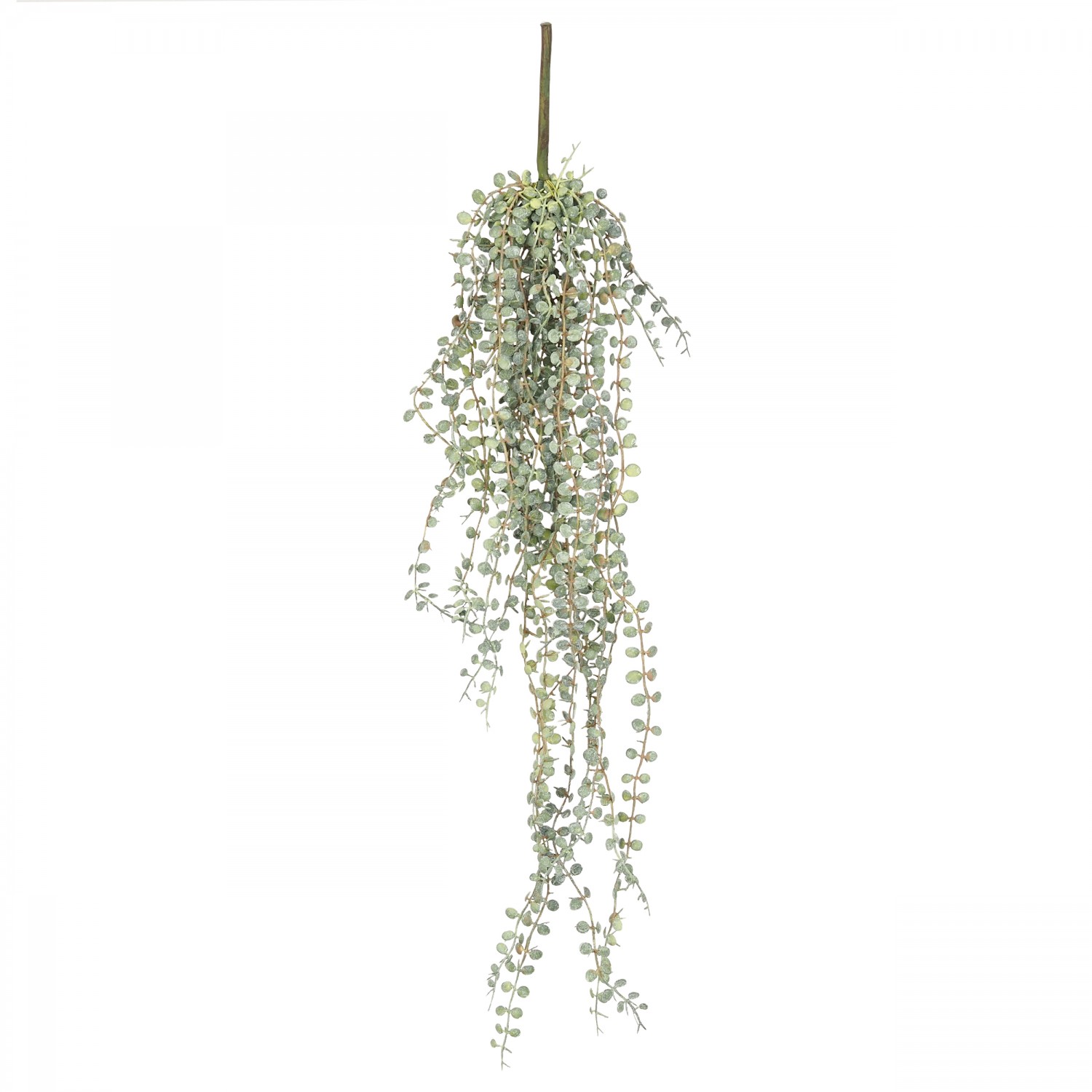 Chute Artificielle de Ceropegia Woodii, H.70cm, Vert Chute Artificielle de Ceropegia Woodii, H.70cm, Vert