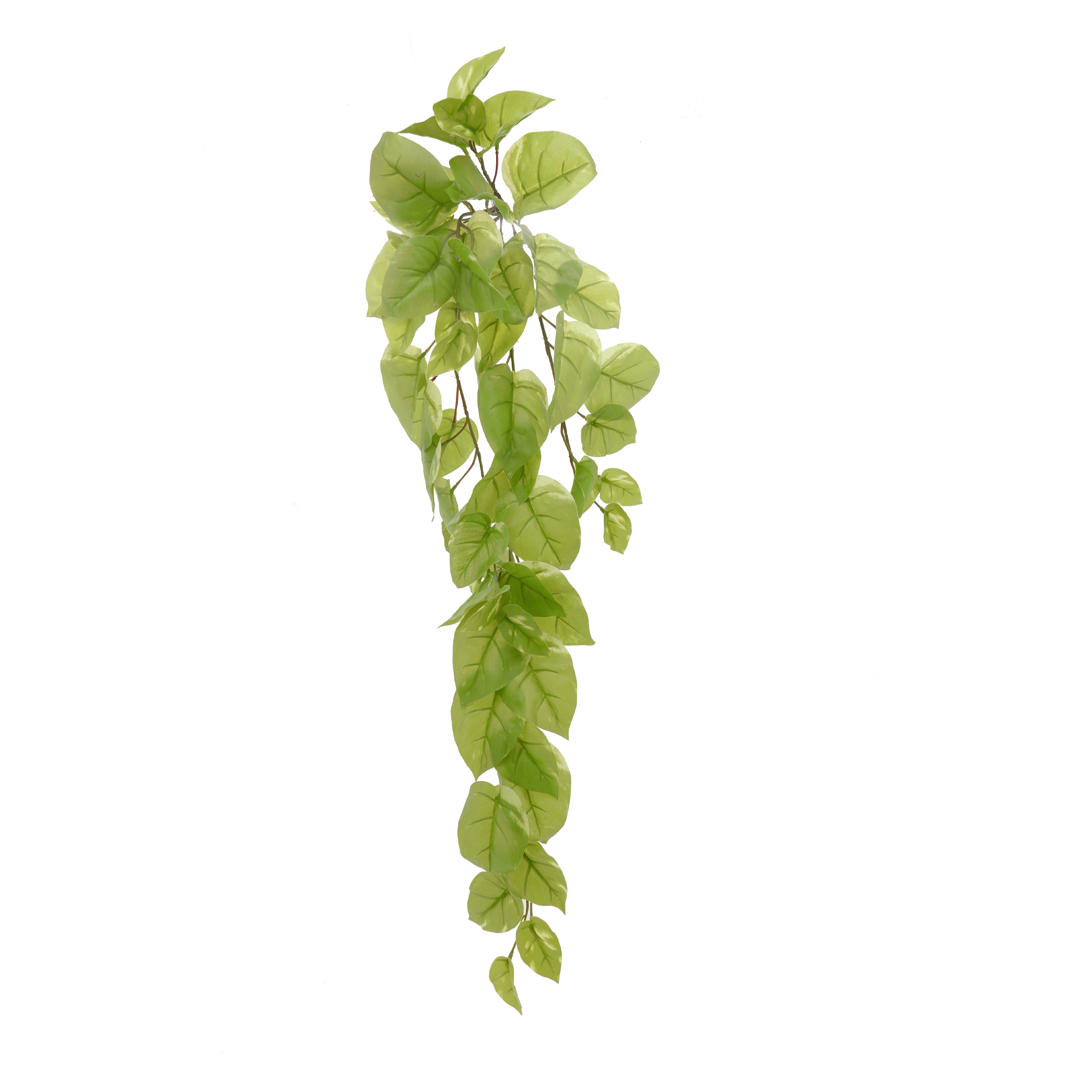 Chute de pothos artificiel Chute de pothos artificiel