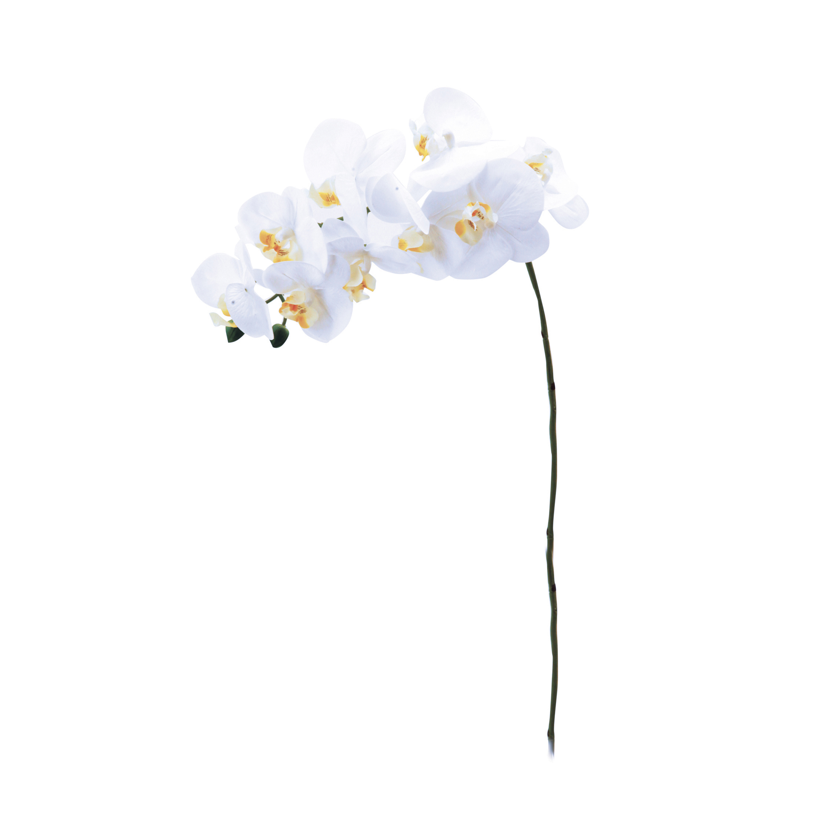 2 tiges d'orchidées blanches artificielles toucher naturel\