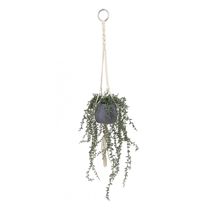 Suspension de succulentes artificielles en pot ciment + macramé 76cm (photo) Suspension de succulentes artificielles en pot ciment + macramé 76cm