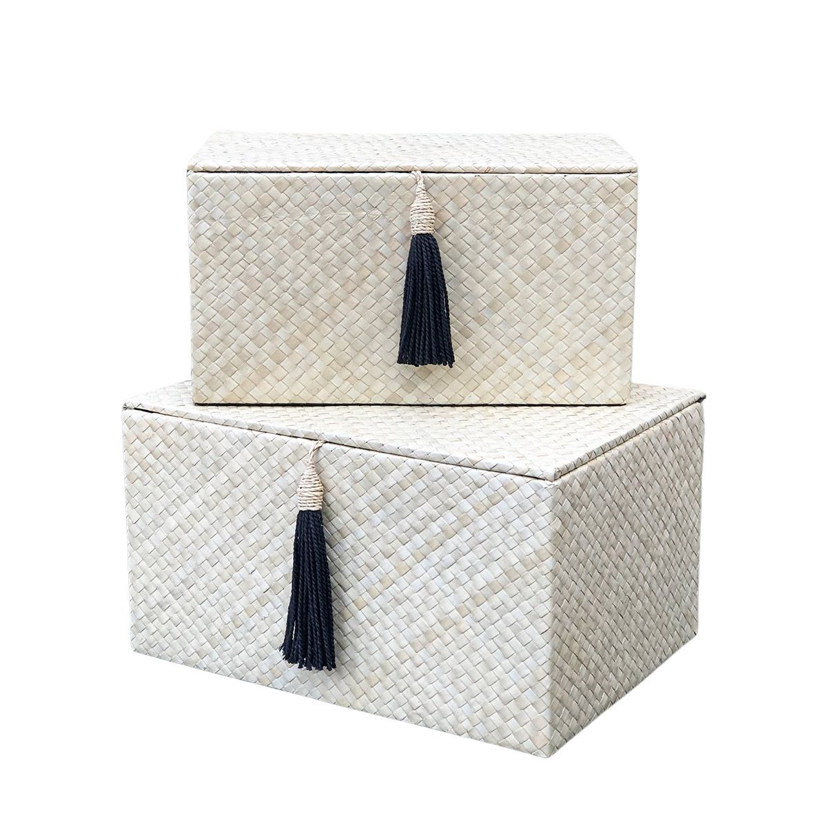 Set 2 boîtes rectangulaires pandan beige (photo) Set 2 boîtes rectangulaires pandan beige