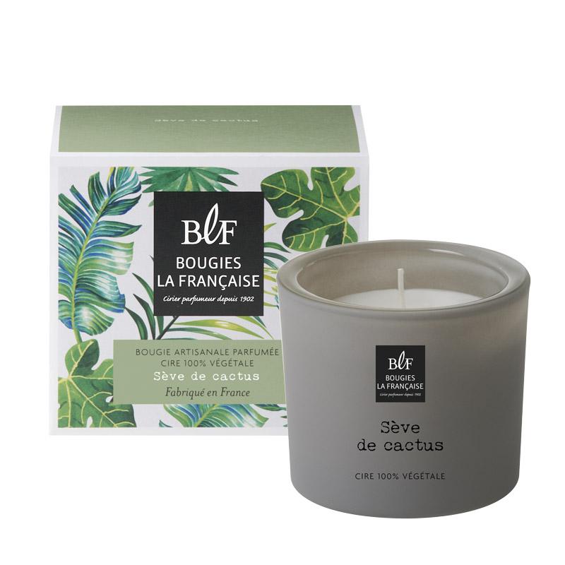 Coffret bougie parfumée 35h sève de cactus