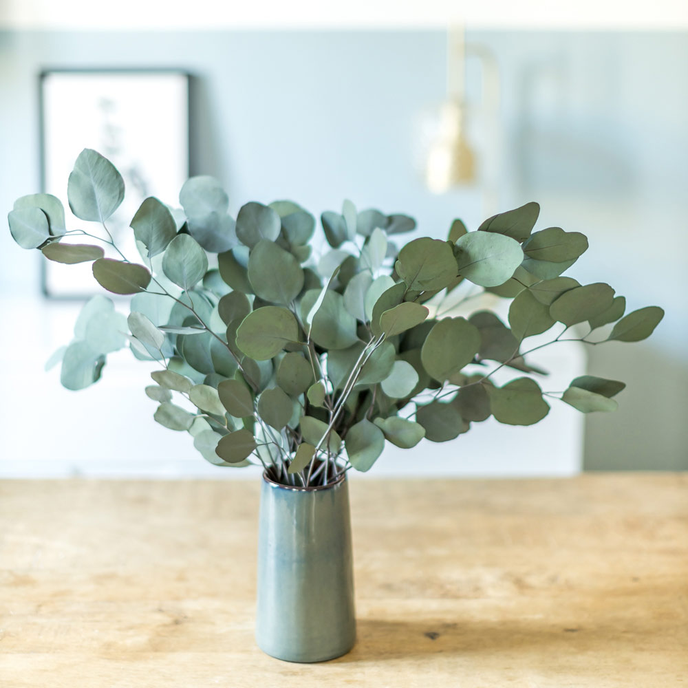 Botte de fleurs séchées eucalyptus populus vert stabilisé