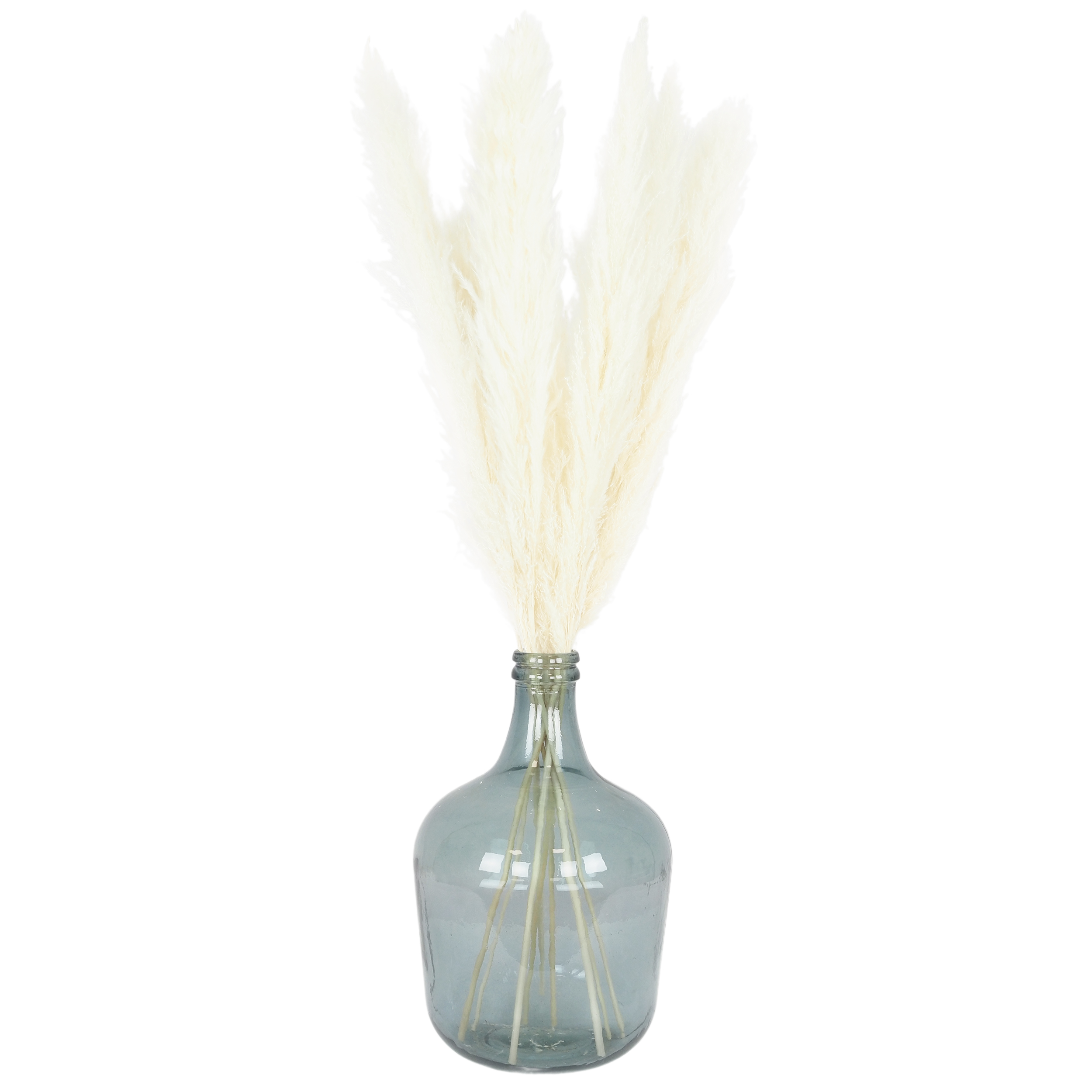 Lot de 3 plumeaux pampa coloris blanc 105cm