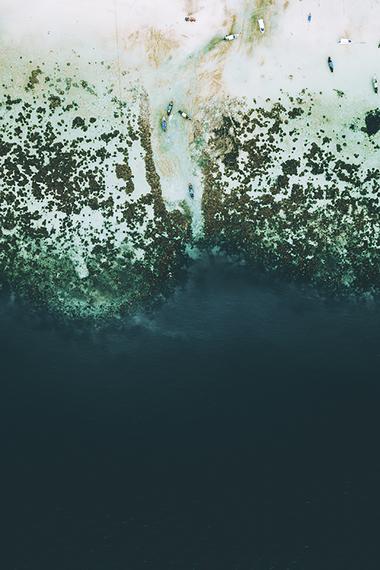 Photographie d'art de Flora Métayer 30x45 cm sur plexi Photographie d'art de Flora Métayer 30x45 cm sur plexi