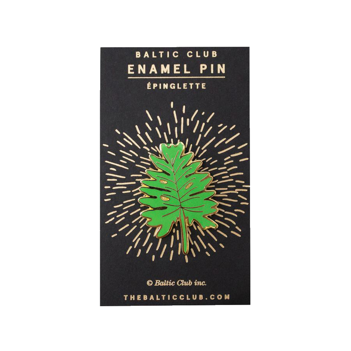 Pins en metal feuille de monstera (photo) Pins en metal feuille de monstera