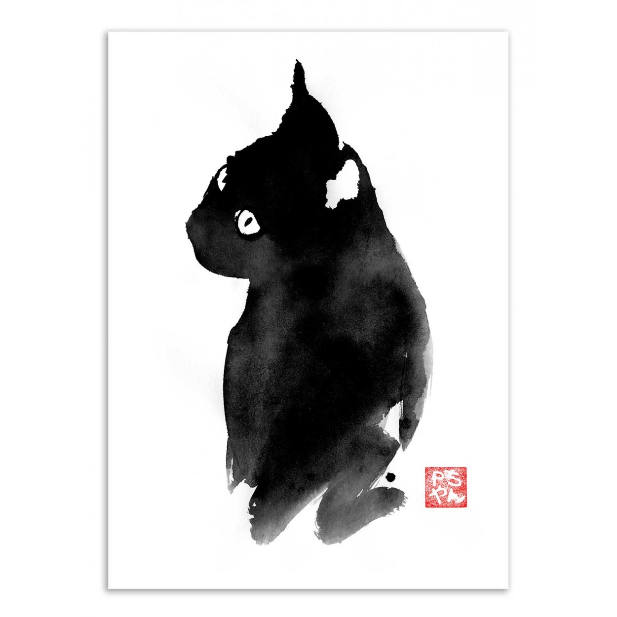 BLACK CAT - Affiche d'art 50 x 70 cm (photo) BLACK CAT - Affiche d'art 50 x 70 cm