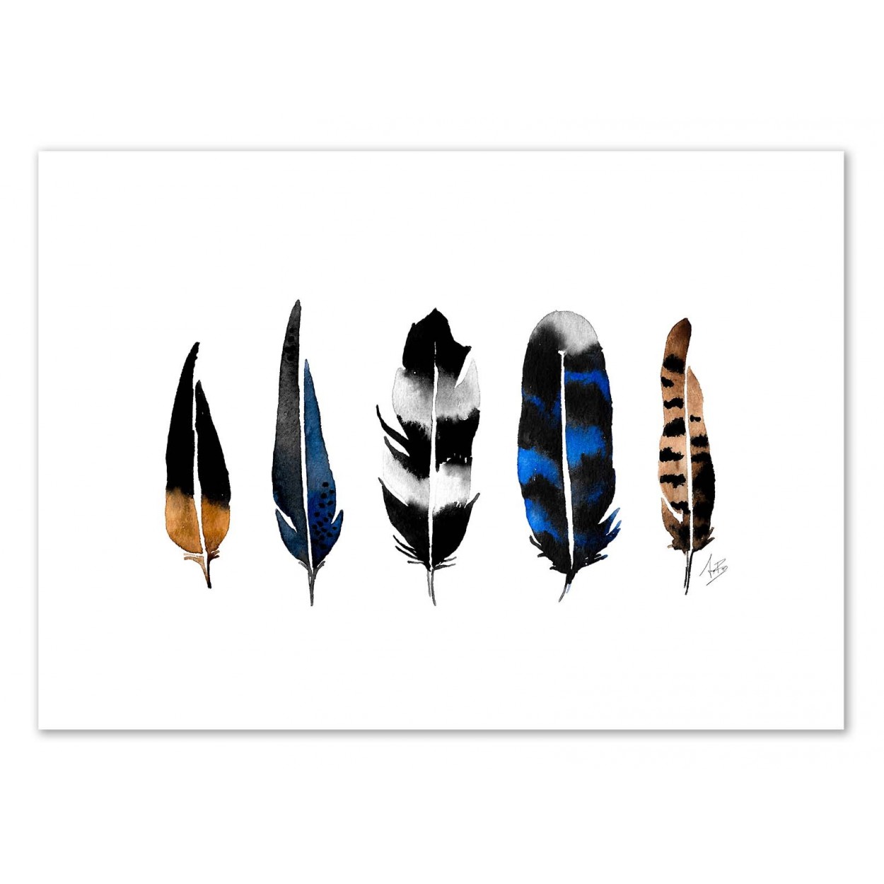 NORTHERN FEATHERS - Affiche d'art 50 x 70 cm NORTHERN FEATHERS - Affiche d'art 50 x 70 cm