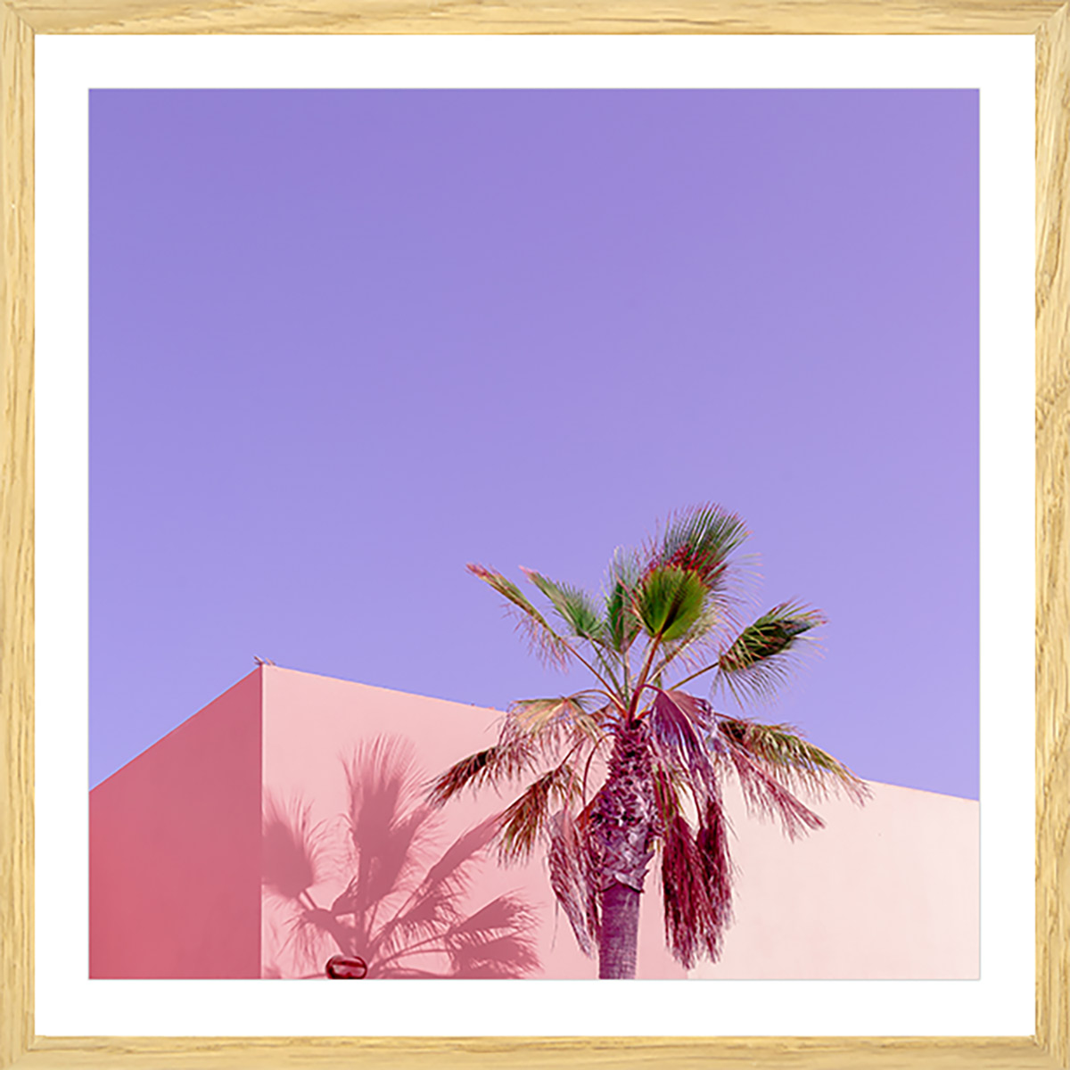Affiche sous cadre bois photo pink palma 80x80cm Affiche sous cadre bois photo pink palma 80x80cm