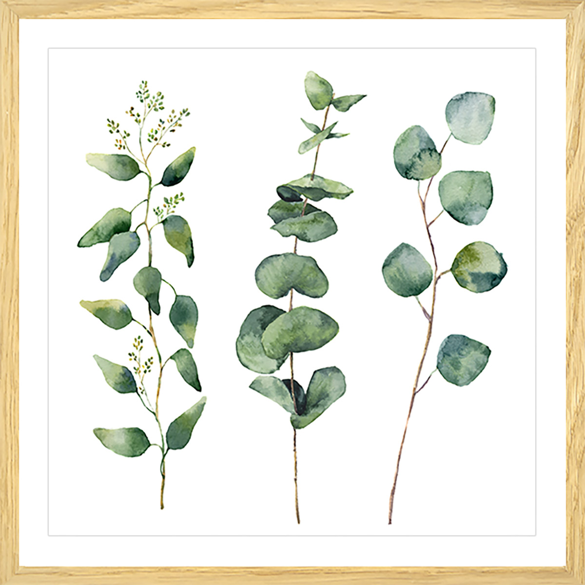 Affiche aquarelle eucalyptus Affiche sous cadre bois Affiche aquarelle eucalyptus Affiche sous cadre bois