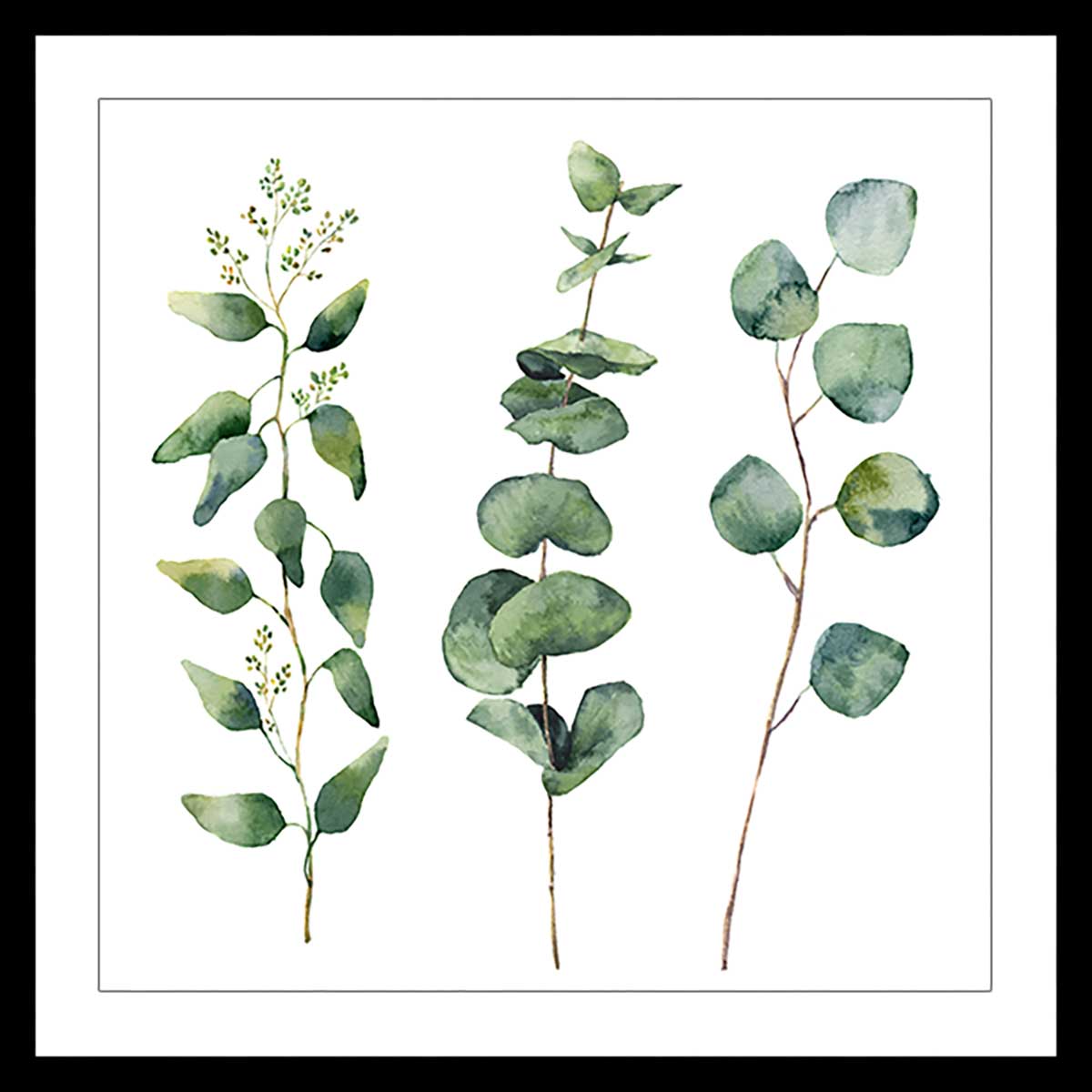 Affiche aquarelle eucalyptus Affiche sous cadre noir Affiche aquarelle eucalyptus Affiche sous cadre noir