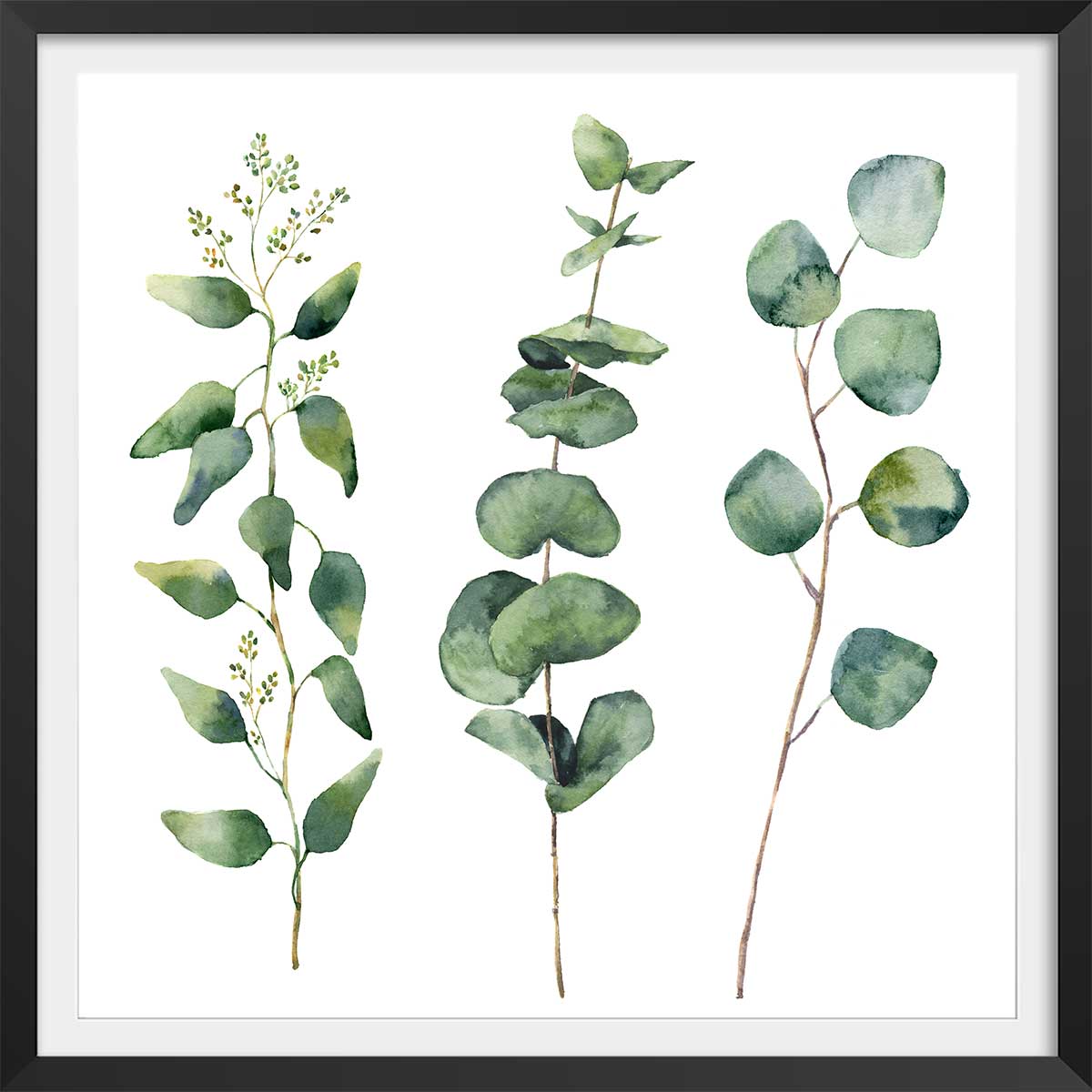 Affiche aquarelle eucalyptus Affiche sous cadre noir Affiche aquarelle eucalyptus Affiche sous cadre noir