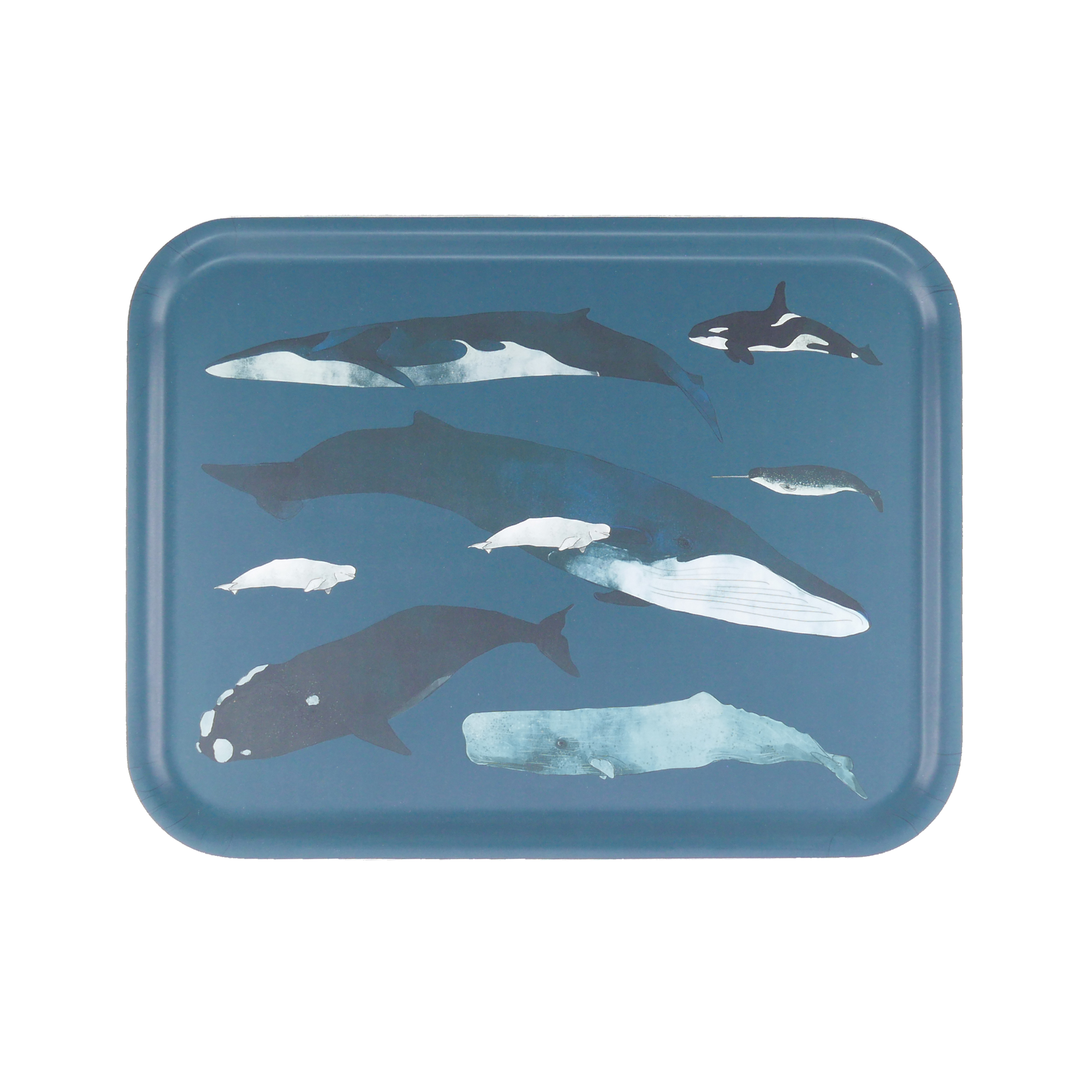 Grand plateau rectangulaire Océans 43x33 cm Grand plateau rectangulaire Océans 43x33 cm
