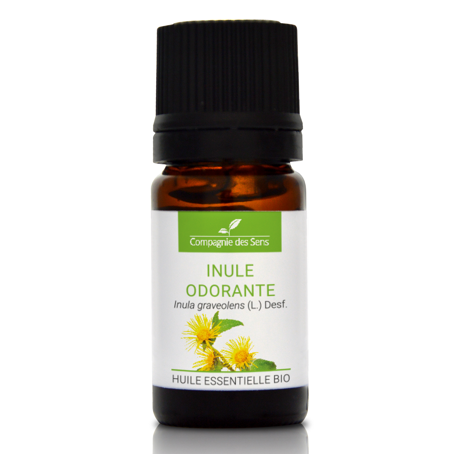 INULE ODORANTE - Huile essentielle bio 5ml INULE ODORANTE - Huile essentielle bio 5ml