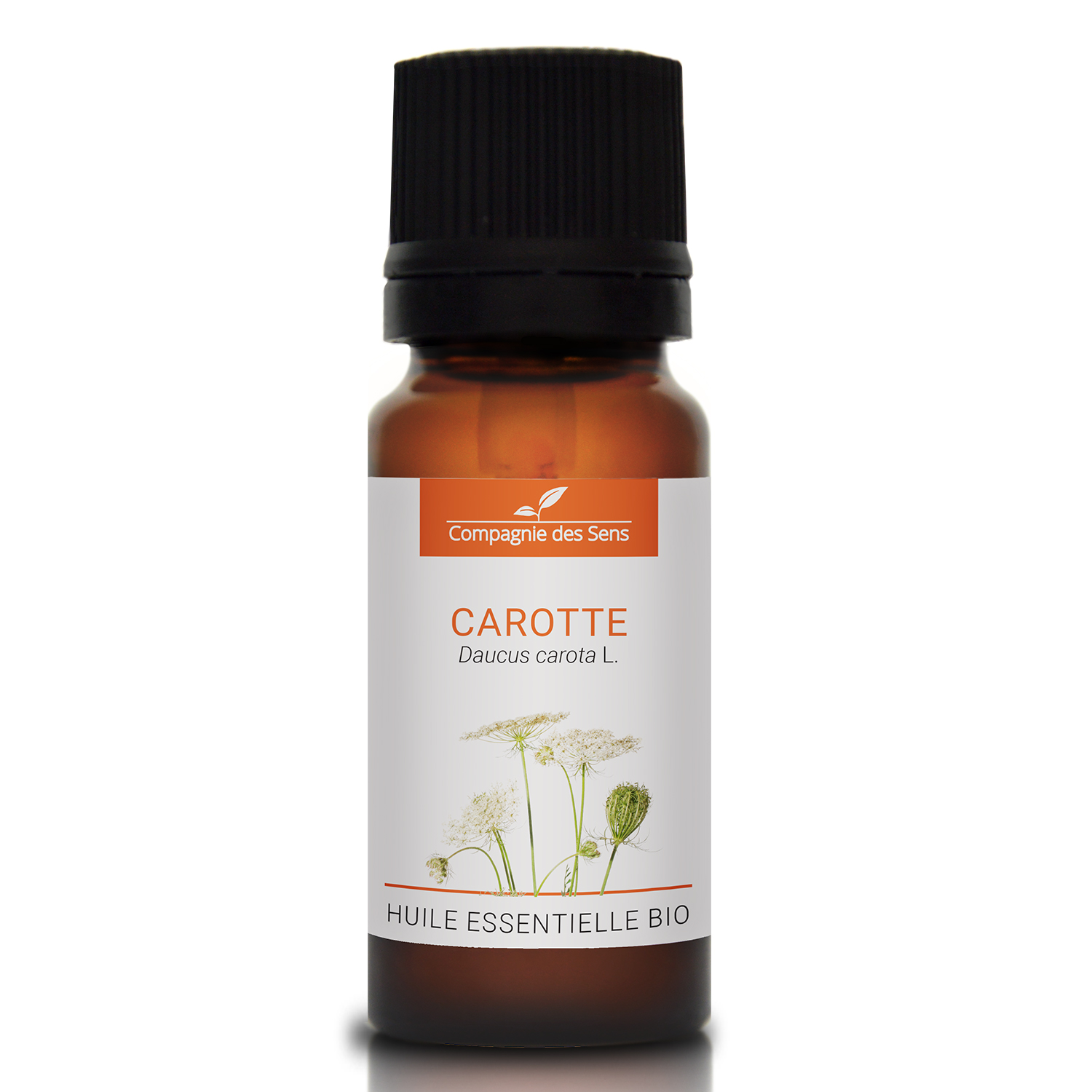 CAROTTE SEMENCES - Huile essentielle bio 10ml CAROTTE SEMENCES - Huile essentielle bio 10ml